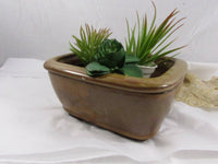 Vintage Bonsai Planter Footed Ceramic Dish Planter Asian Lucky Bamboo Air Plant Pottery Succulant Cactus Planter
