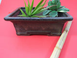 Vintage Ceramic Bonsai Planter Asian Lucky Bamboo Air Plant Pottery Succulent Cactus Planter