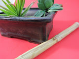 Vintage Ceramic Bonsai Planter Asian Lucky Bamboo Air Plant Pottery Succulent Cactus Planter