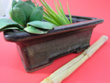 Vintage Ceramic Bonsai Planter Asian Lucky Bamboo Air Plant Pottery Succulent Cactus Planter