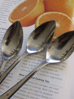 Grapefruit Citrus Spoons Mid Century  Style Set of 4 Traditional Stainless Flatware