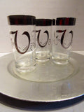 Vintage Queens Lusterware Glassware Monogrammed Initial V Initial S Initial C Initial G Dorothy Thorpe Style Silver Band Initial Tumblers